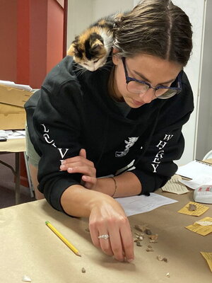 Person looking down, sorting material, with their cat assistant assisting.